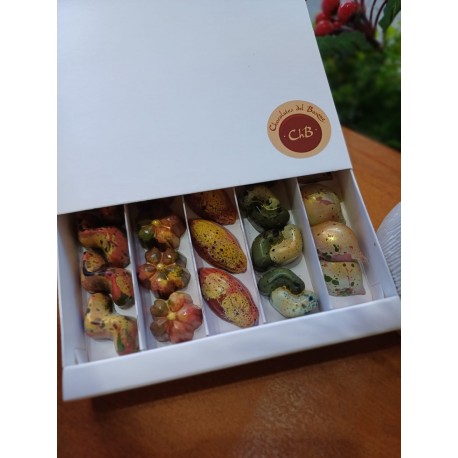 Caja 48  bombones rellenos, chocolate con leche bélgica